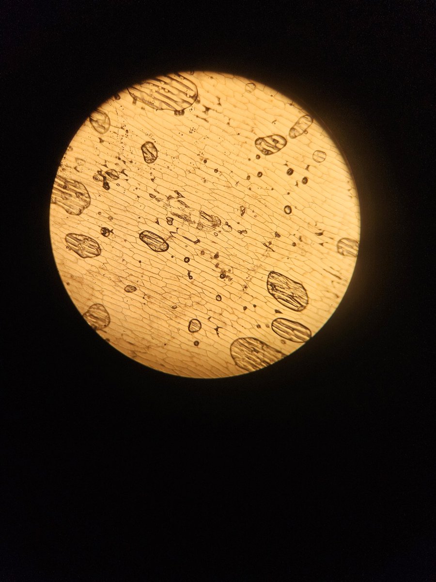 Mr Coyle tweet media