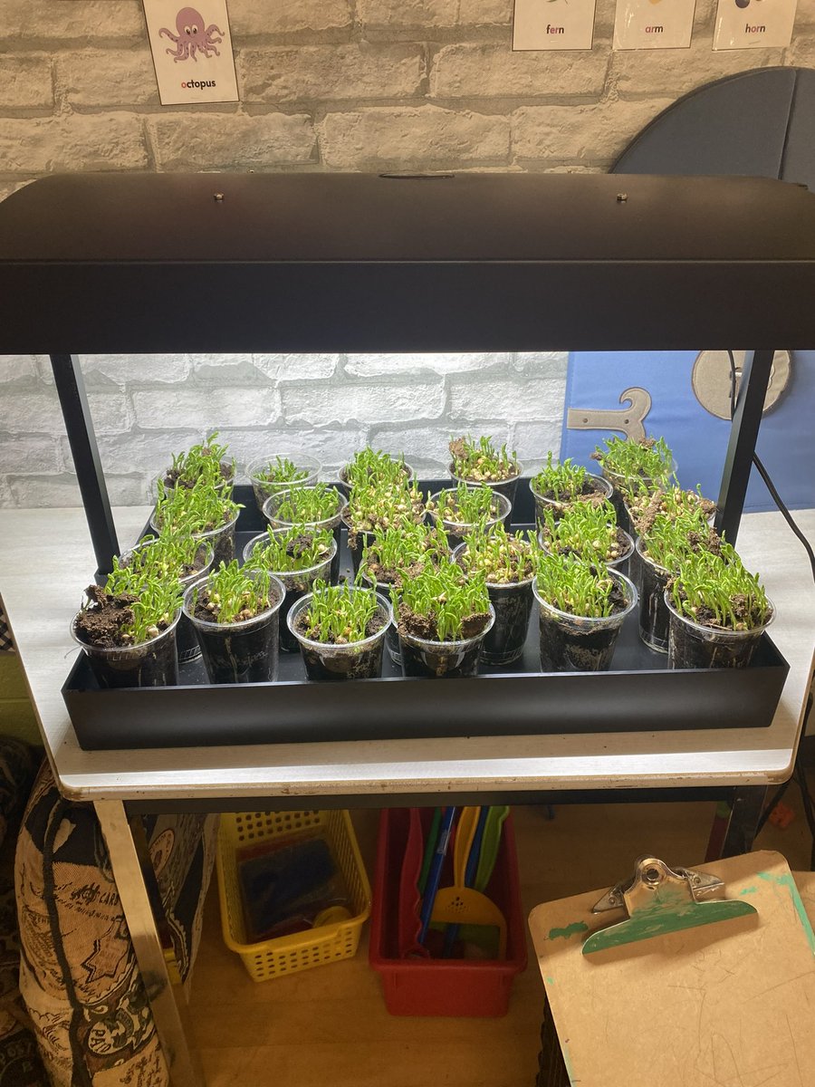 Lots of growth happening in our Kindergarten rooms.