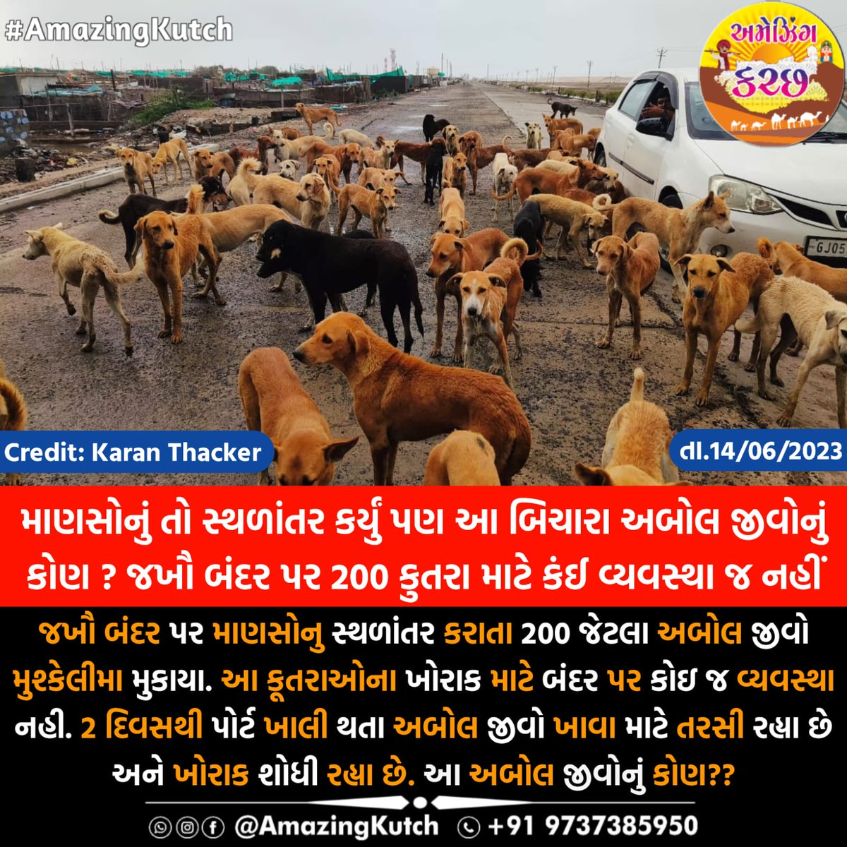 આ બાબતે ધ્યાન દોરજો 🙏🙏
@CollectorKutch <a href="/VinodChavdaBJP/">Vinod Chavda 🇮🇳</a> <a href="/sanghaviharsh/">Harsh Sanghavi</a> <a href="/CMOGuj/">CMO Gujarat</a> <a href="/Bhupendrapbjp/">Bhupendra Patel</a>