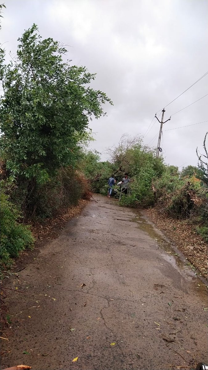 <a href="/COLLECTORDWK/">Collector Devbhumi Dwarka</a> 
<a href="/DdoDwarka/">District Panchayat DevbhumiDwarka</a> 
<a href="/CDHO_Dwarka/">CDHO Devbhumi Dwarka</a> 
<a href="/NHMGujarat/">NHM Gujarat</a> 
<a href="/MoHFW_INDIA/">Ministry of Health</a> 

ભાણવડ તાલુકાના ડો રાહુલ ગાગલિયા અને ડૉ ભાવિક સોનગરા ફિલ્ડ વિઝીટ દરમિયાન વૃક્ષ પડેલું જણાયું તો જાતે જ અડચણો દુર કરી રસ્તો ખુલ્લો કર્યો.. સલામ છે એમની કામગીરી ને...