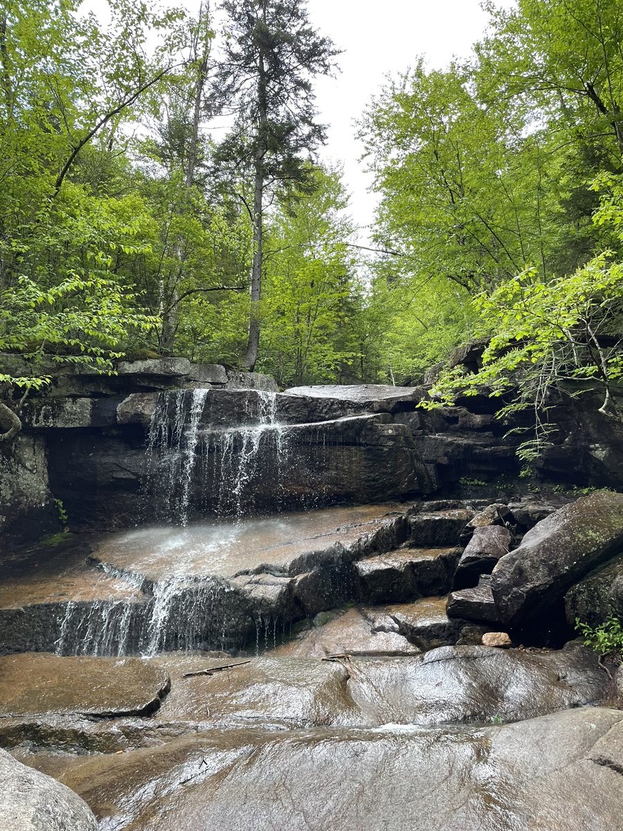 Went on a hike this past weekend 🍃