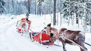 From snowshoeing* to cross-country skiing*, you can try every winter activity going at the Santasport Hotel.

Set in the heart of Ounasvaara, on the edge of Rovaniemi, the Santasport specialises in active holidays and wellbeing breaks. Th - swiy.co/EORj