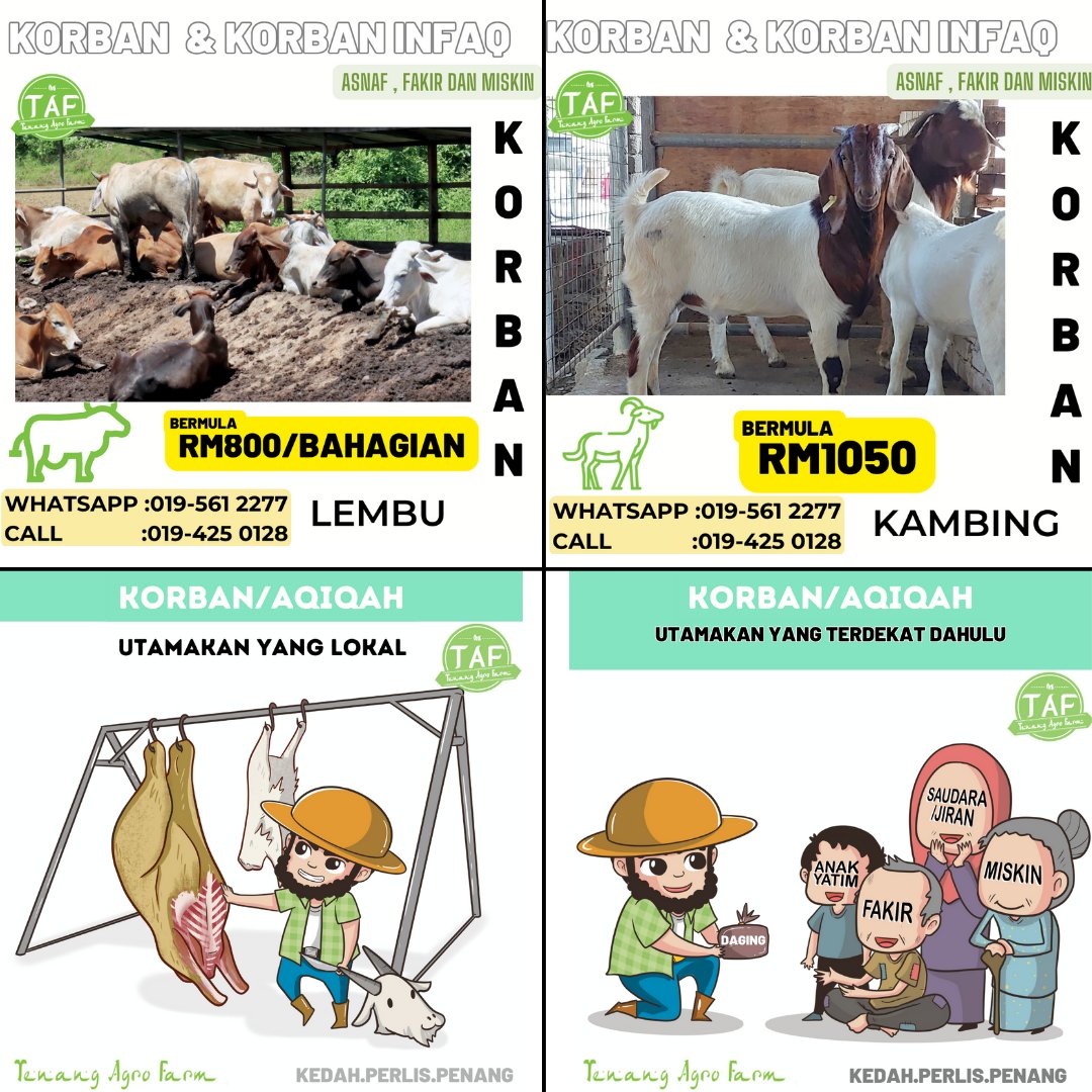 Letih juga no nak bersaing dengan korban luar negara.
Ekonomi setempat kena la jugak kita jaga. Esok lusa kalau kita susah yang dekat juga mai bantu.
Moga kita jaga insan terfekat dahulu na......
#korbanlokal
#selamatkanpenternaktempatan