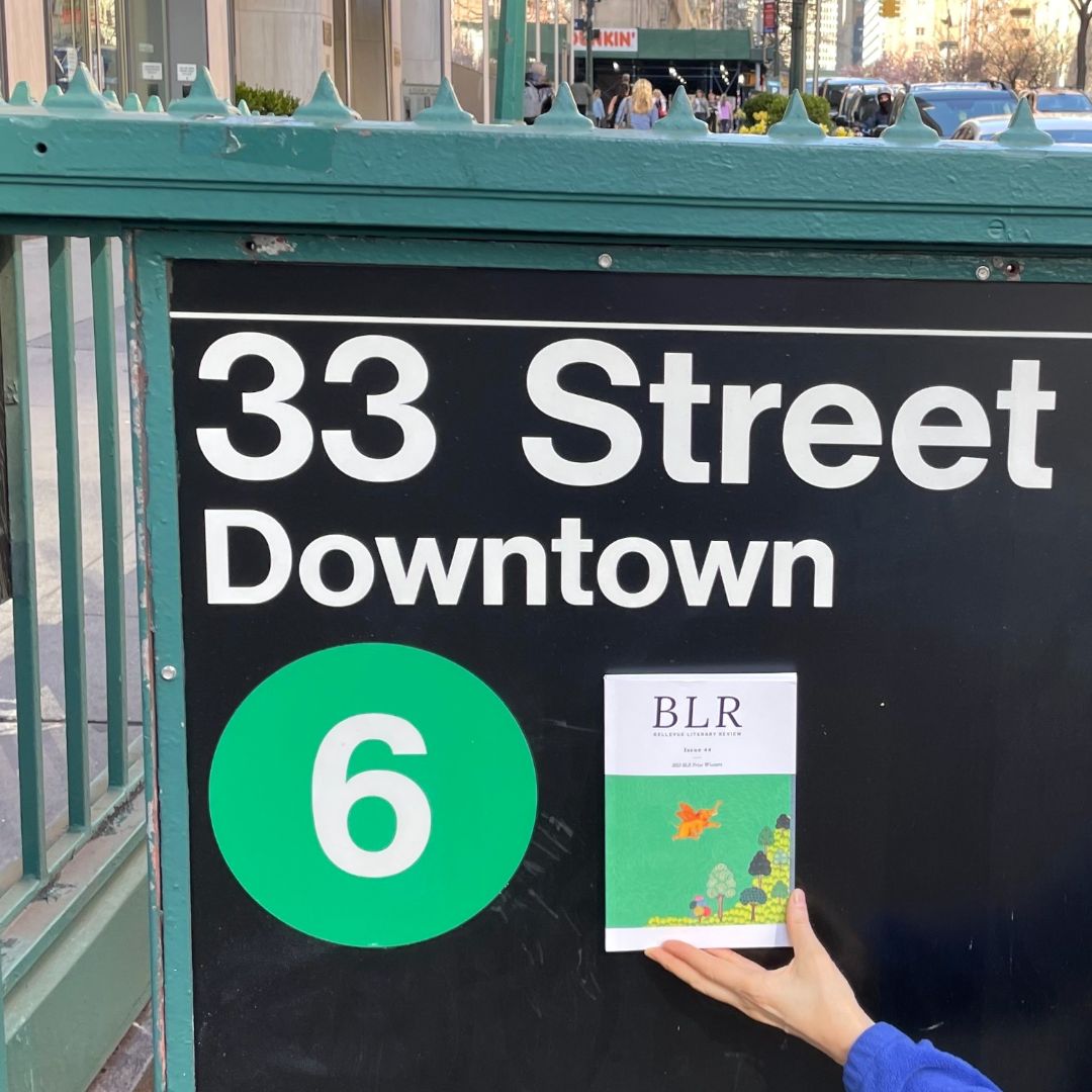 BLReview's tweet photo. When you realize the cover of BLR Issue 44 matches the 6 train. 😂

Grab your next commute read! https://t.co/jIrNZQmtpx https://t.co/3pzvufBjLa