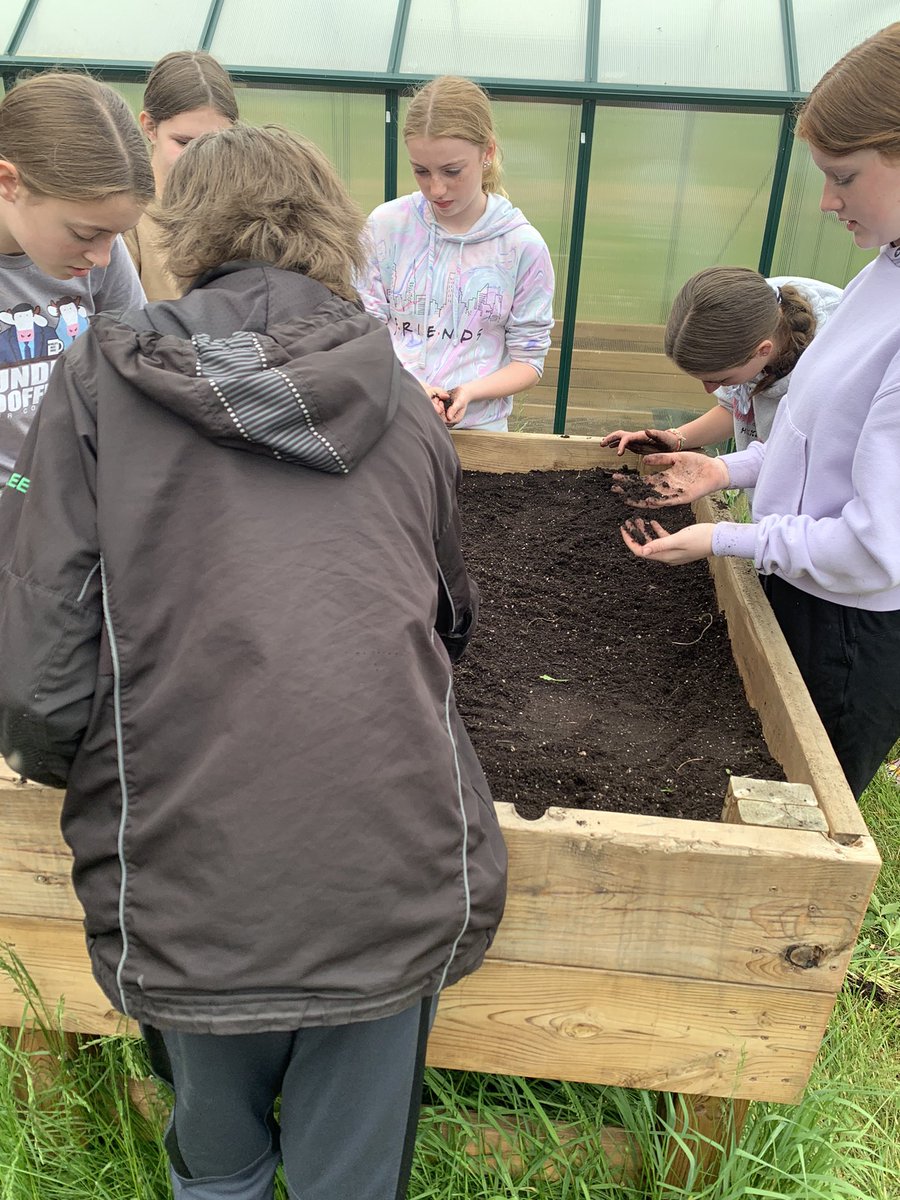 Carrots are planted by our Gators.  Learning to grow food is a great life skill.  In the ground and in a raised bed… which will grow better?  #STEAM <a href="/SucSeedCanada/">SucSeed</a> <a href="/Gators5FI/">Christine L-M</a>