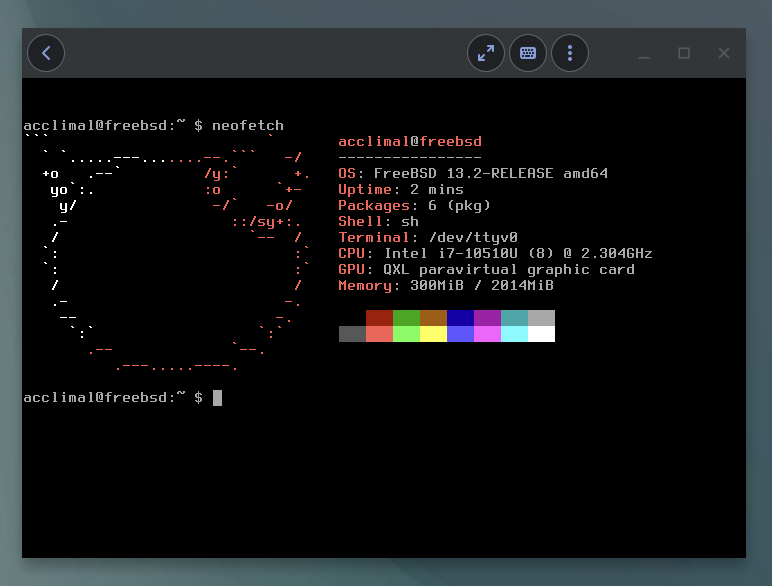 FreeBSD 13.2 in GNOME Boxes on Chromebook