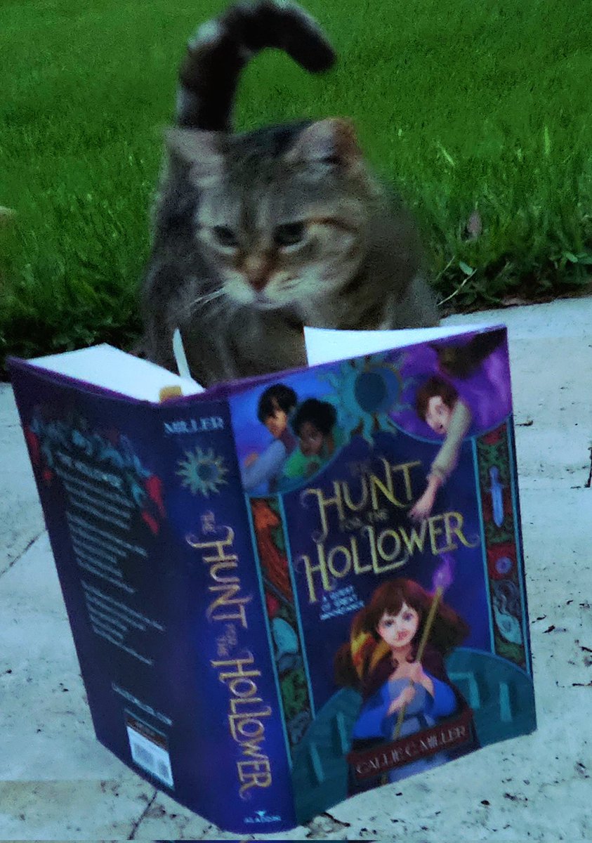 Kitty captivated by HUNT FOR THE HOLLOWER by Callie C. Miller #SummerReading #mgfantasy #middleschoolela #merlin