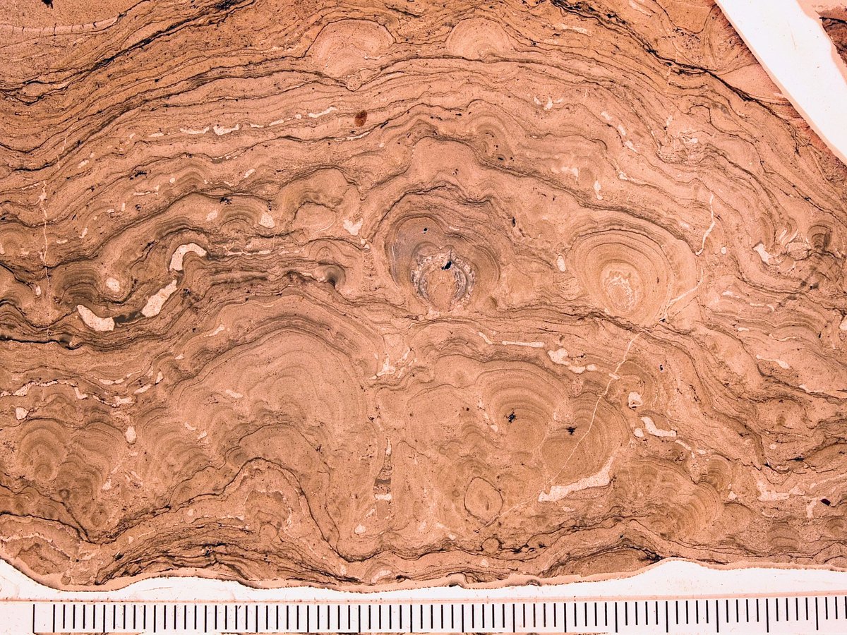 Heidi Allen tweet media