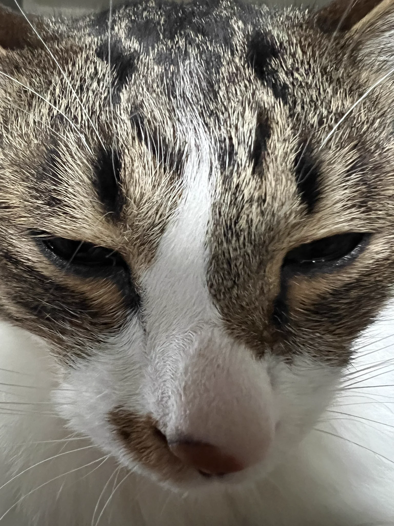 @yajima_en ワタシもだいたい丑三つ時に一度起こされます。 