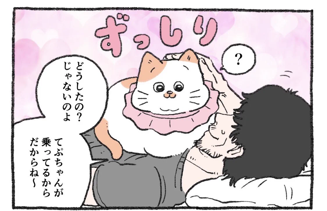 @yajima_en ｷｬｰ‼️私の上にも乗ってU0001fae8U0001fae8U0001fae8U0001fae8U0001fae8 