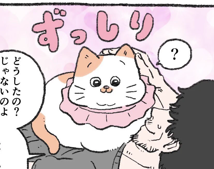 @yajima_en 「どうしたの？じゃないのよ」ww
分かるww 