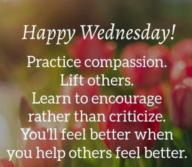 Code 7 Charity tweet media