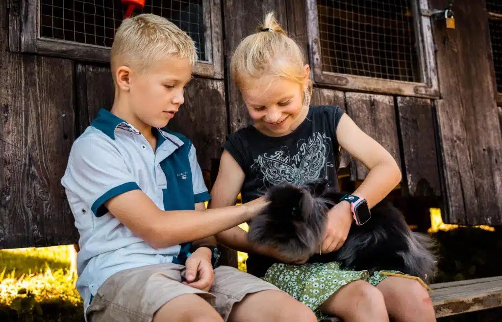 På tur med barn i sommer? Her er 6 tips til hva dere kan gjøre hos oss 😃 og best av alt, det meste er gratis!

blaa.no/6-tips-til-bar…