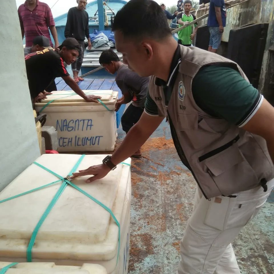 BKIPM_Langsa's tweet photo. #onehealthkipm giat pemeriksaan dan pengawasan ekspor pengiriman produk perikanan tujuan malaysia 
#KKPThrive 
#MenteriTrenggono 
#MenteriKKP 
#EkonomiBiru 
#BKIPM https://t.co/TnoCiJ2xCV