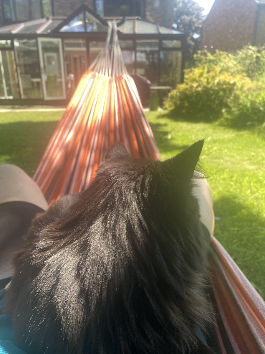 A warm morning 10k in preparation for my night shift tonight. Bambam cat keeping me company on the hammock. #JuniorDoctorsStrikes