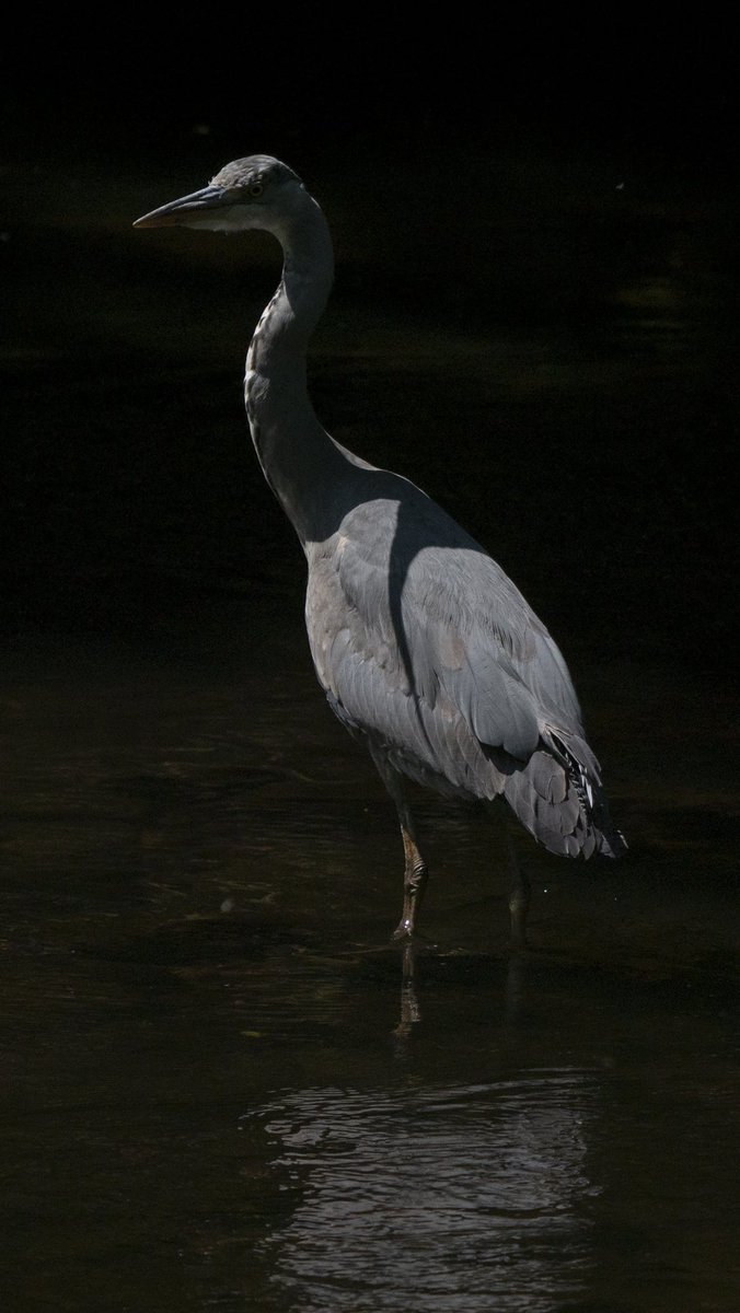 James Roper (@jamesroperart) on Twitter photo 