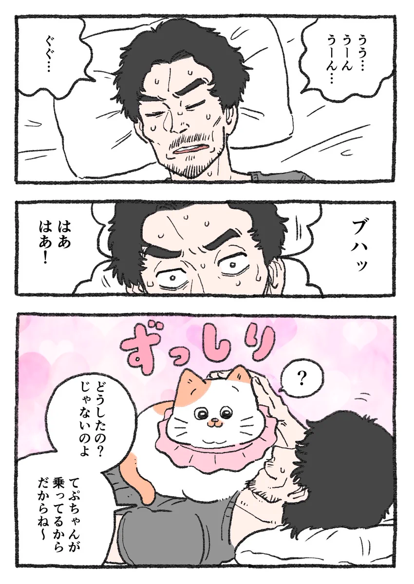 「ねこ転」その130が公開！寝起きのプンちゃんがびっくりしたものとは…！？