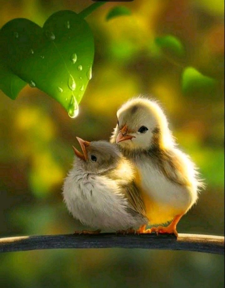 Beautiful 😍😍😍 picture