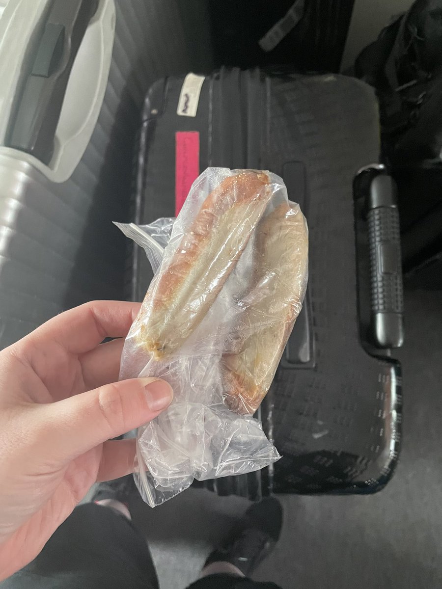 Twitter detectives help me figure out why there was two cooked fucking sausages in my suitcase!!! Took two <a href="/Ryanair/">Ryanair</a> flights today, it had to have been a baggage handler WHYYYYYYYY