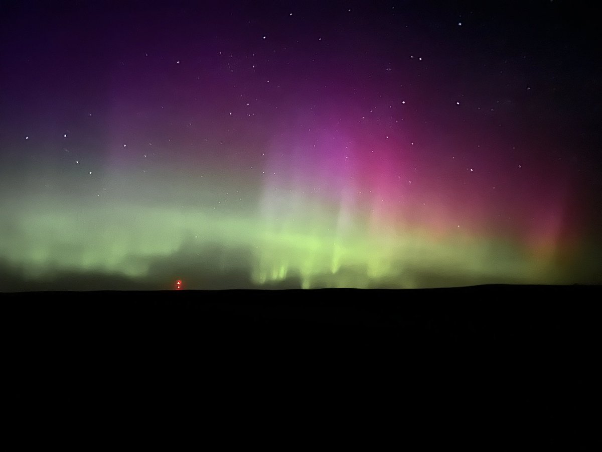 Our forth and final summer field season is off to a great start! Prairie conditions have been favorable, with warm temps and “normal” precipitation. Photos: GADW, CCSP, VESP, and the northern lights. We’re approaching the halfway point and I’m already starting to miss this place.