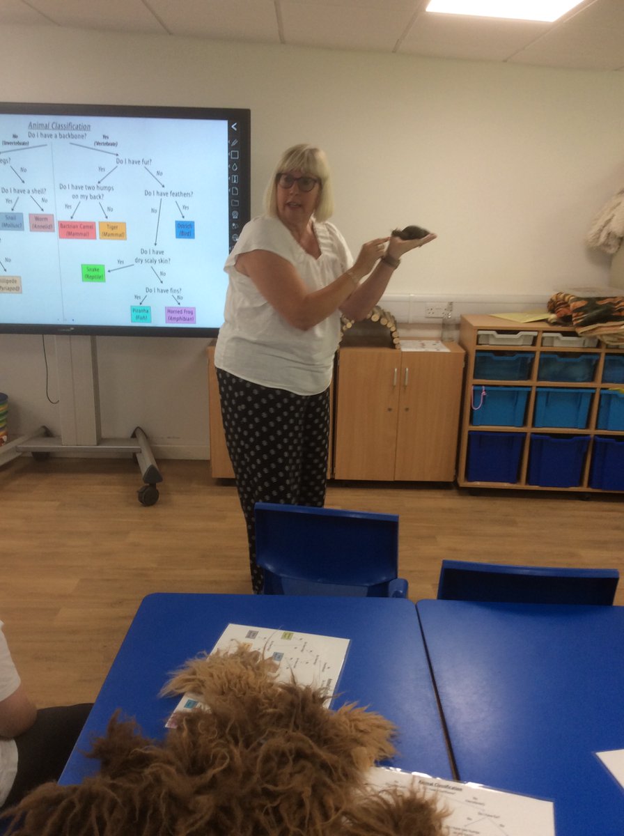 HowarthSchool's tweet photo. Y4 had a fantastic trip to the Yorkshire Wildlife Park on Monday. It was a very hot day, and the children behaved impeccably.
Please see more photos on the Y4 page of our website! ๐ฏ๐ฆ๐ฆ
#jmatschools https://t.co/uty3oUJSHJ