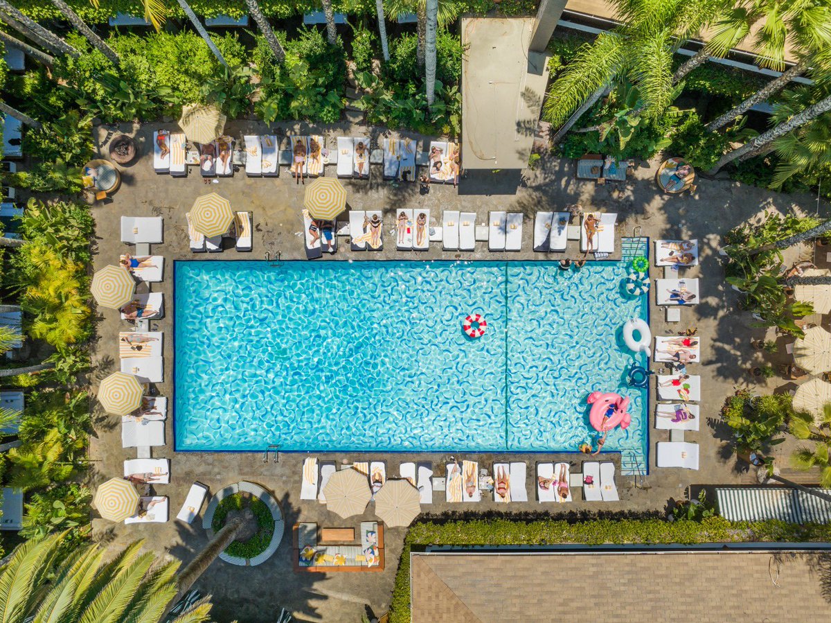 Planisferio tweet media