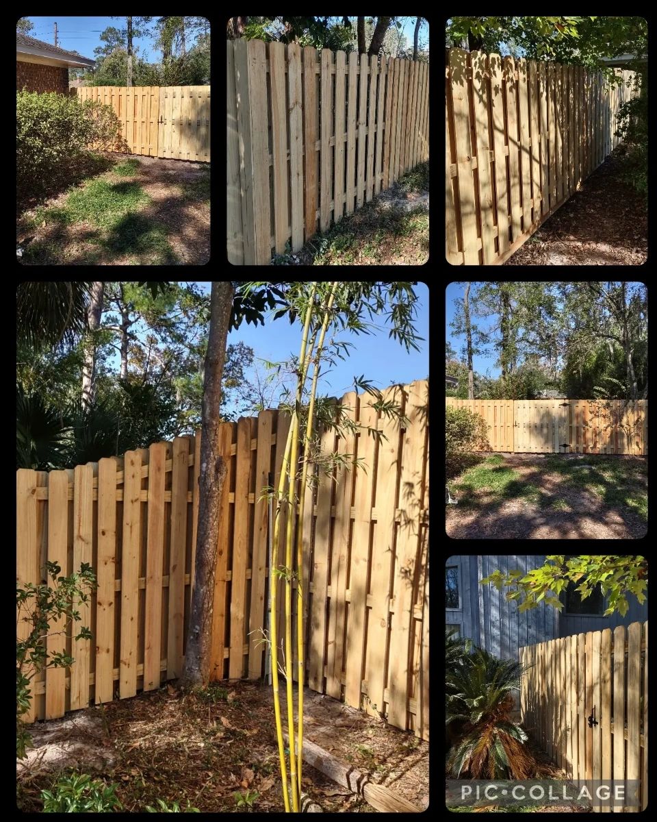 Look at this shadowbox wood fence that steps up from 6ft to 8ft! We added the height to create the privacy that our customer was looking for. Reach out to get started with your fence today! 👌 #AllFloridaEnterprises #CustomFences

allfloridaenterprises.com