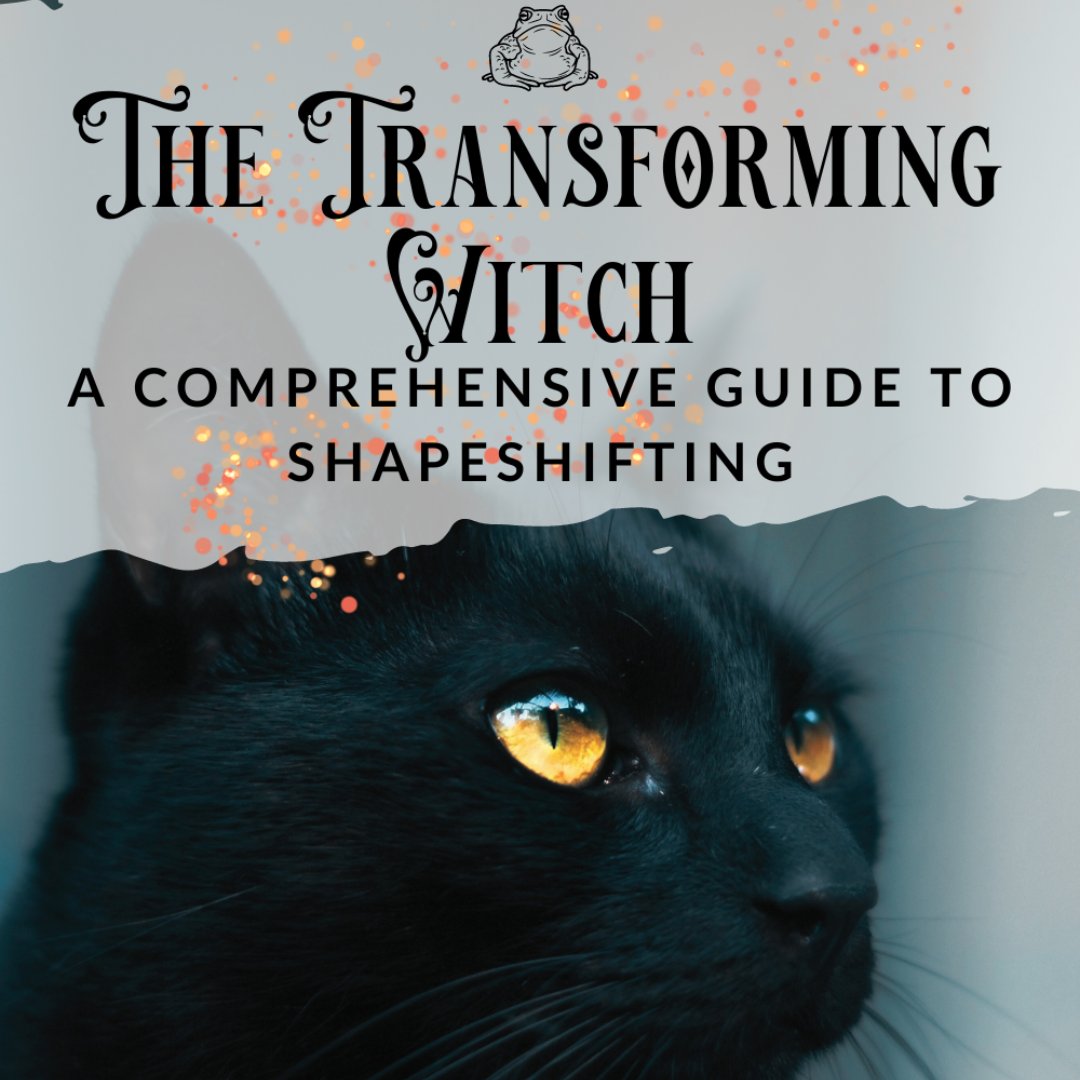 As a hedge witch, shapeshifting is an integral part of hedge riding and astral travel. Learn more about shapeshifting and how to do it in The Transforming Witch: A Comprehensive Guide to Shapeshifting in Witchcraft.

flyingthehedge.com/2023/06/a-comp…