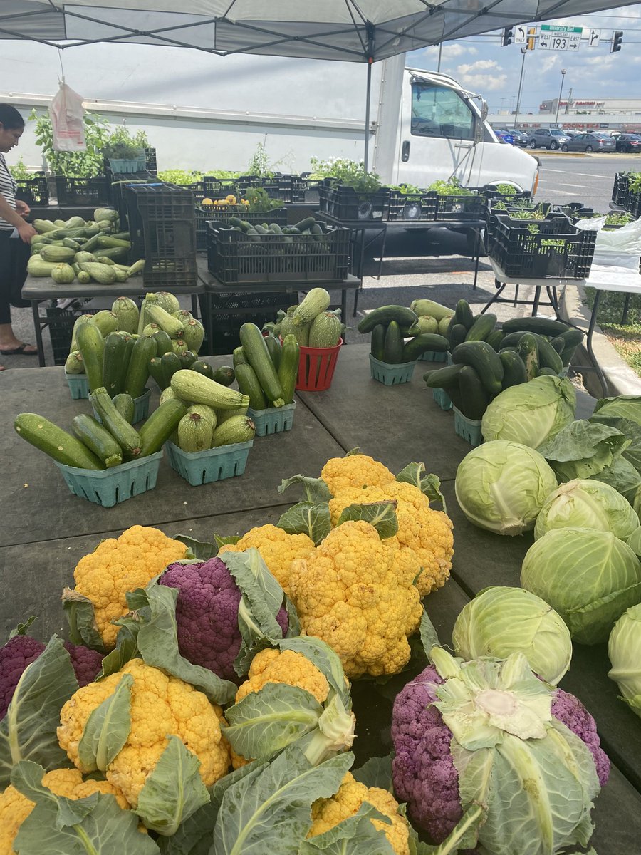 SAFSFunders's tweet photo. It’s site visit day at the #2023SAFSFForum! One of our groups visited the Crossroads Farmers Market. The market was founded in 2007 to make fresh, healthy food more affordable and more accessible to residents of the Takoma/Langley Crossroads community. #WasingtonDC #FarmersMarket https://t.co/F2ePuMbCZV