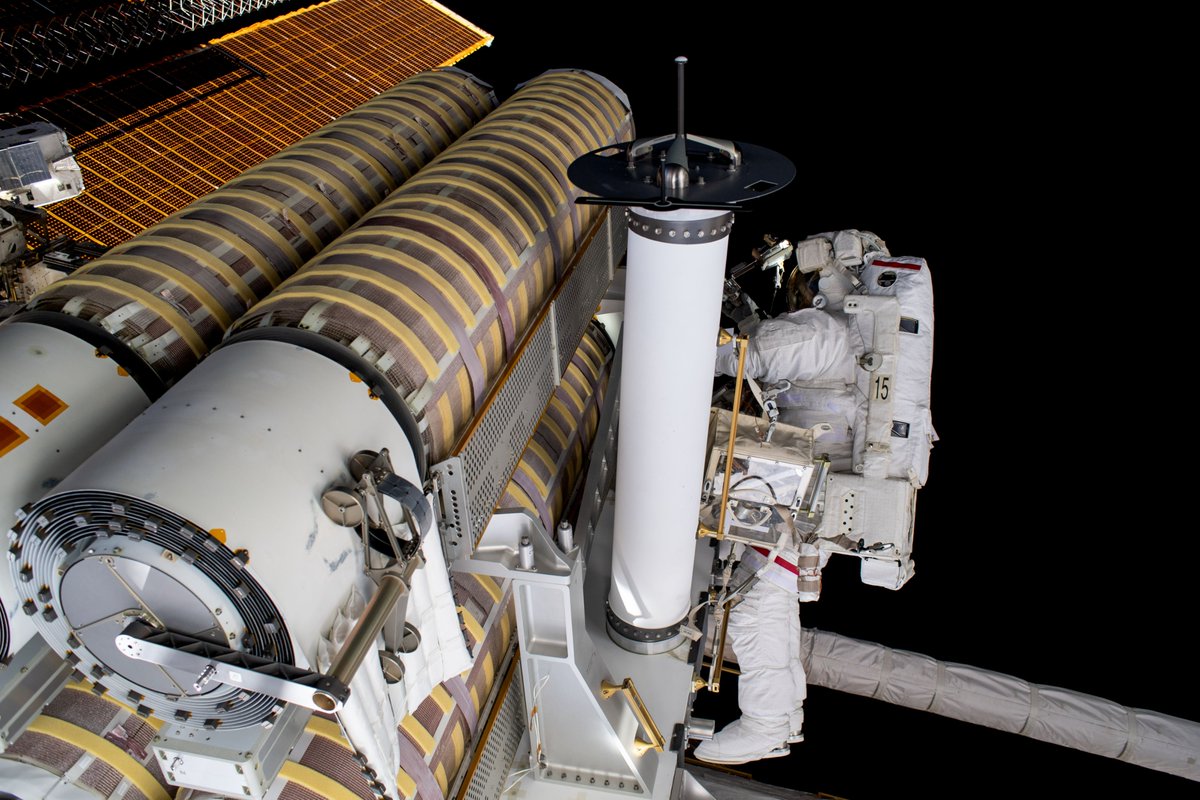 NASA Science tweet media