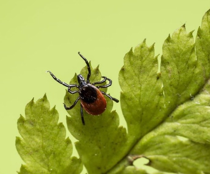 Iñaki Sanz-Azkue tweet media