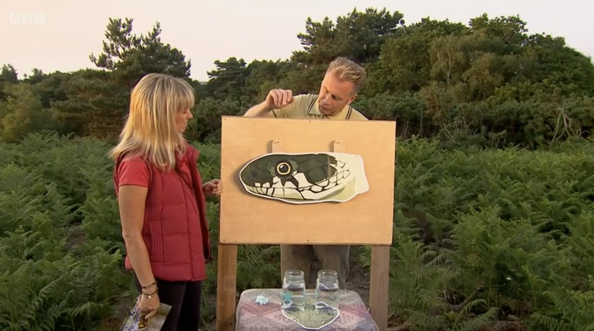 No Context Springwatch tweet media