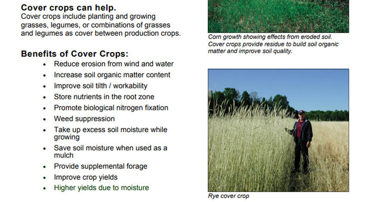 When you plant cover crops, you reap the benefits. bit.ly/3VIX1vT #soilhealth