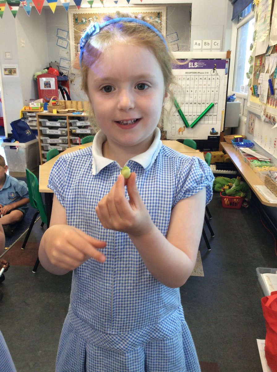 St Oswald's Catholic Primary School tweet media