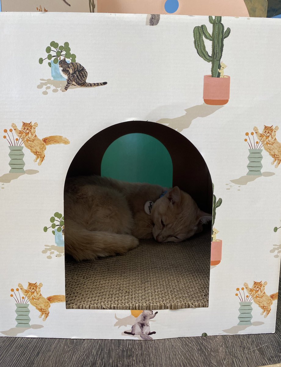 Juliana Mejia tweet media