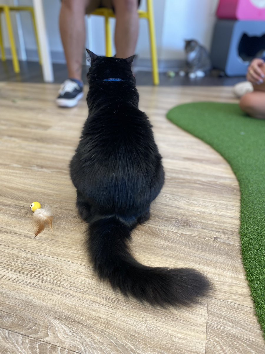 Juliana Mejia tweet media