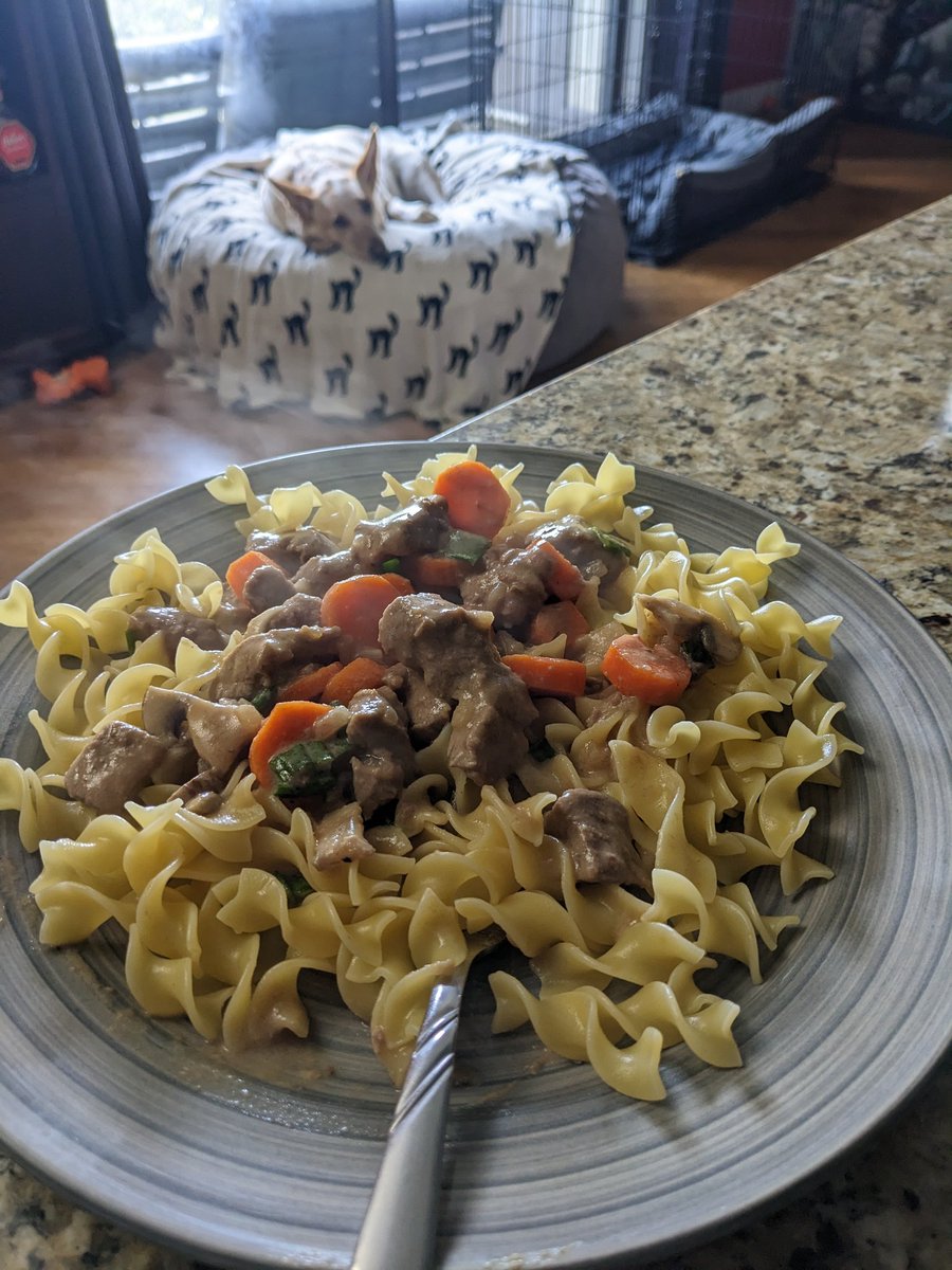 Another fantastic day of work, working out, wonderful weather, time with the dogs, and cooking some delicious food. 💪 Steak stroganoff with added carrots, mushrooms, and scallions served over egg noodles. 🤤