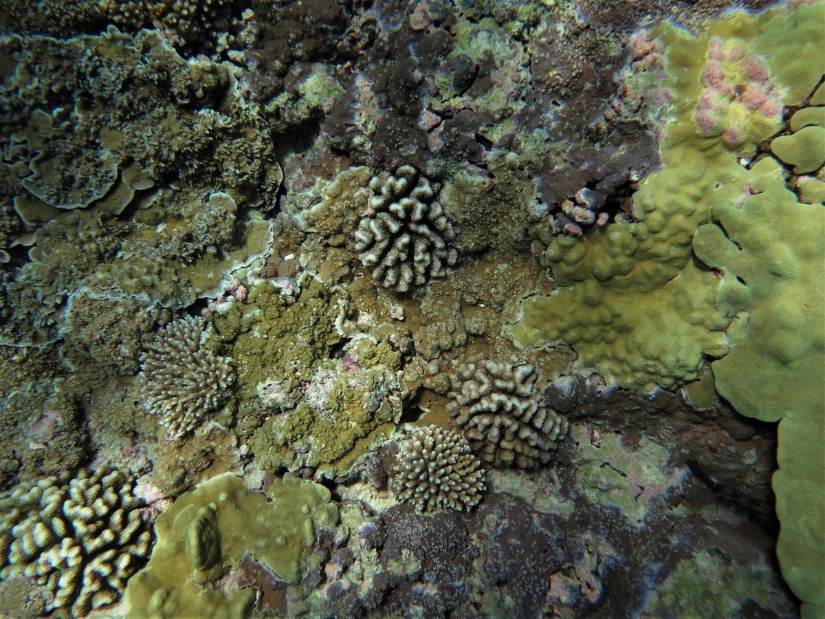 Stuart Sandin tweet media