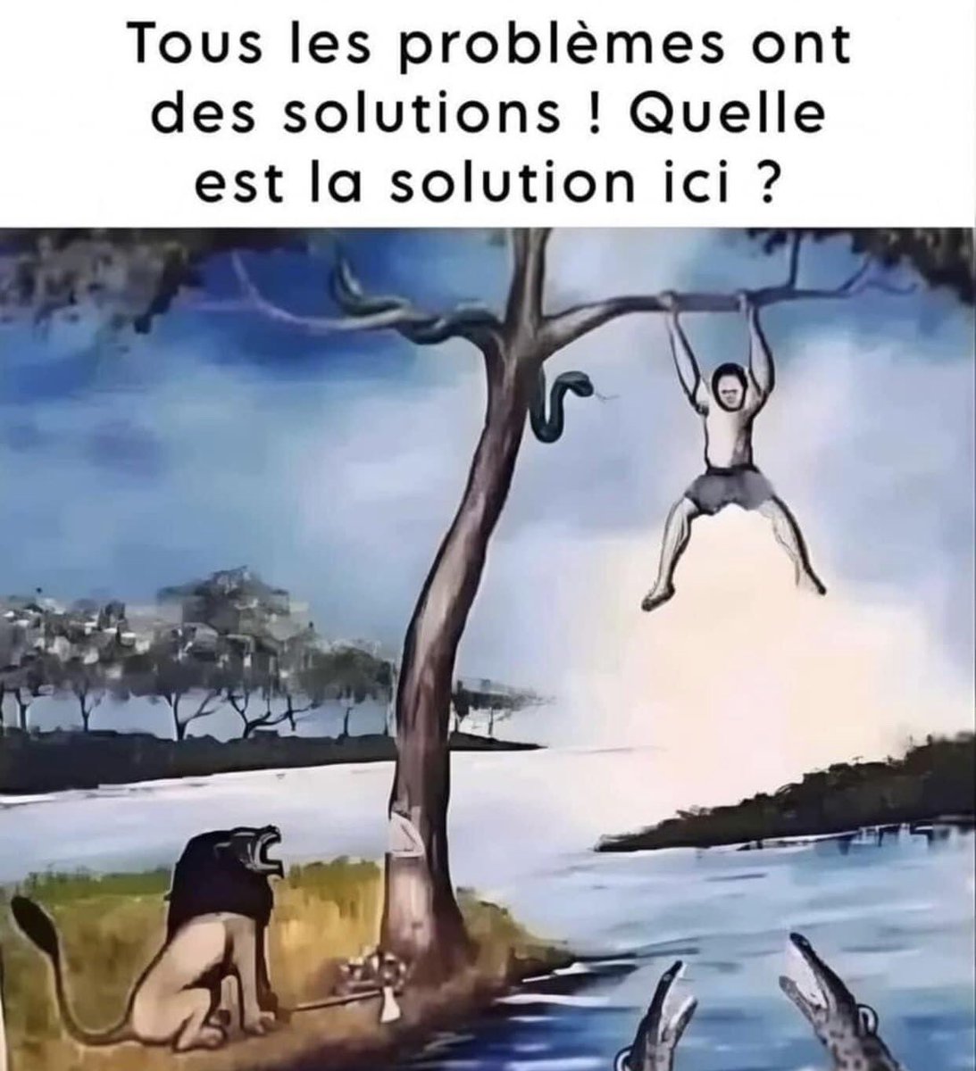 Rodolphe Steffan tweet media