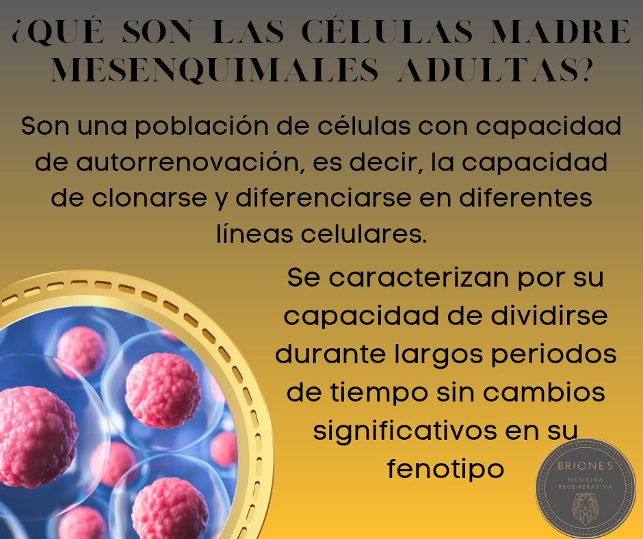 #BrionesPuertoVallarta #celulasmadre #celulasmadremesenquimales