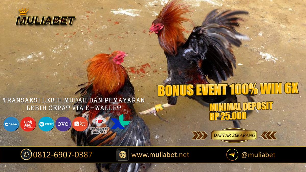 muliabet550's tweet photo. SABUNG AYAM ONLINE SITUS MULIBET
#EVENT #EVENTSABUNGAYAM #MULIABET #BONUS100% #SABUNGAYAM #TAJEN #TAJENBALI #SABUNGAYAMBALI #SABUNGAYAMTORAJA #TORAJA #ADUAYAM #TARUHANAYAM #JUDIAYAM #AYAMONLINE #DAFTARSV388 #SV388 https://t.co/1AIX25aiDF