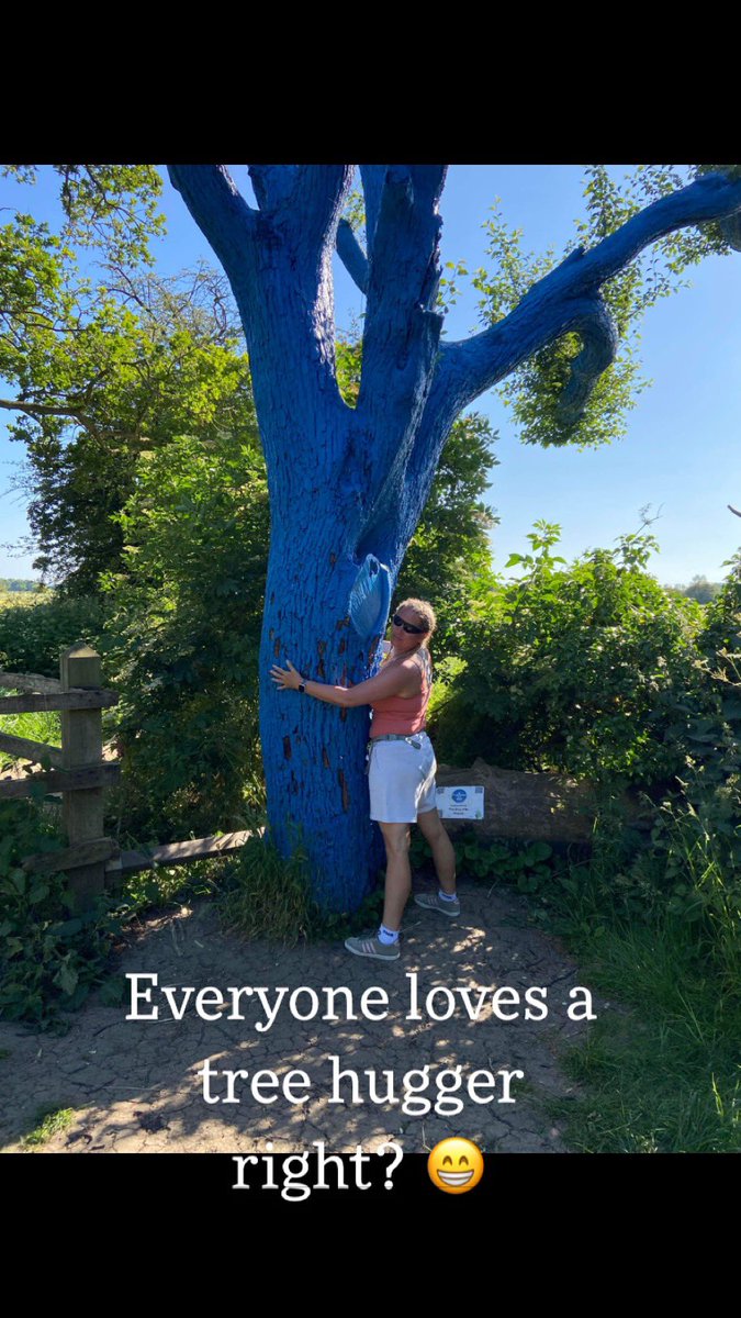 DeannaE20851484's tweet photo. #bluetreeproject #MentalHealthMatters #spreadpaintandspreadthemessage #itsokaynottobeokay https://t.co/69ffO0BcvV