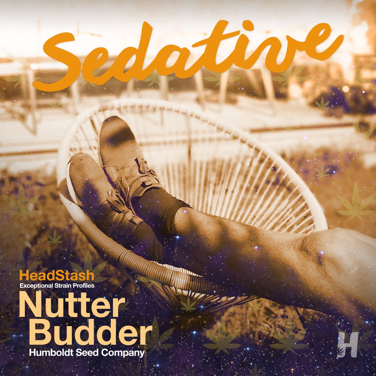 HeadsLifestyle's tweet image. #Cannabis is far from one-size-fits-all. Every #strain has its unique qualities, perhaps something #sedative to relieve #anxiety and support sleep? Heavy hitting Nutter Budder allows you to #relax and unwind, soothing stress and easing you into sleep. 
headslifestyle.com/blogs/headstas…