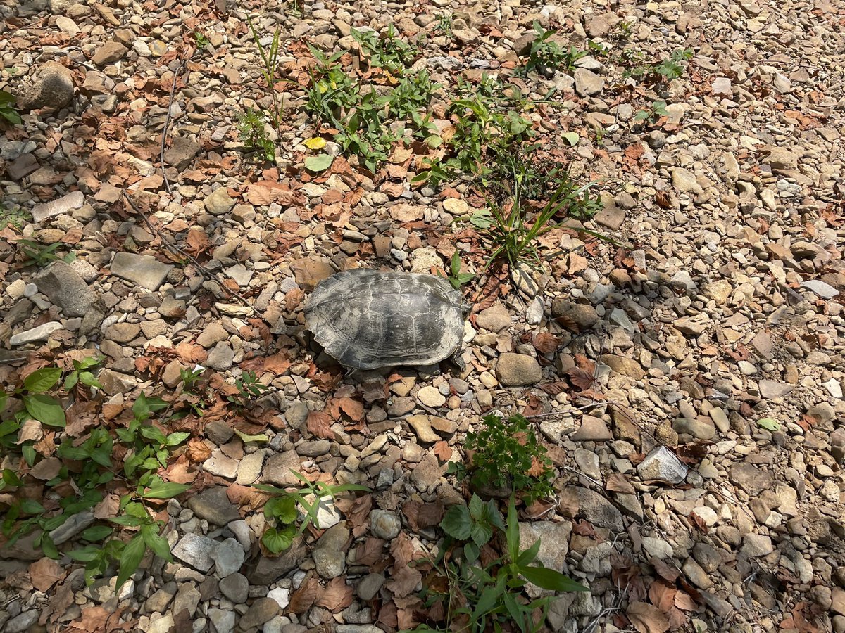 d1zzycak3's tweet photo. made a friend https://t.co/hqGeVS9VgY