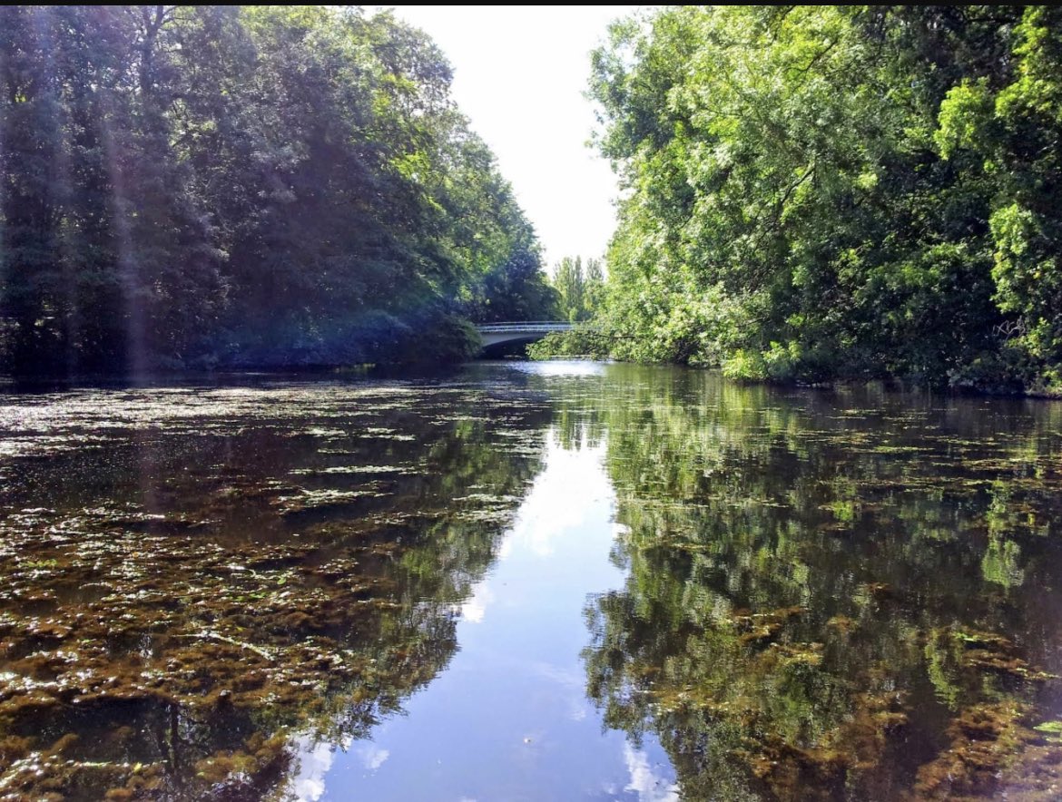 Sander Koole tweet media