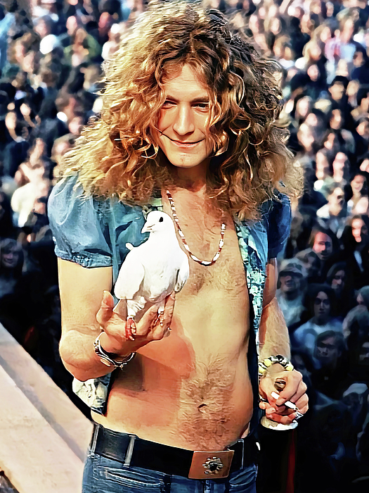 New artwork for sale! - "Robert Plant with a Dove Art Led Zeppelin " - fineartamerica.com/featured/rober… <a href="/fineartamerica/">Fine Art America</a>