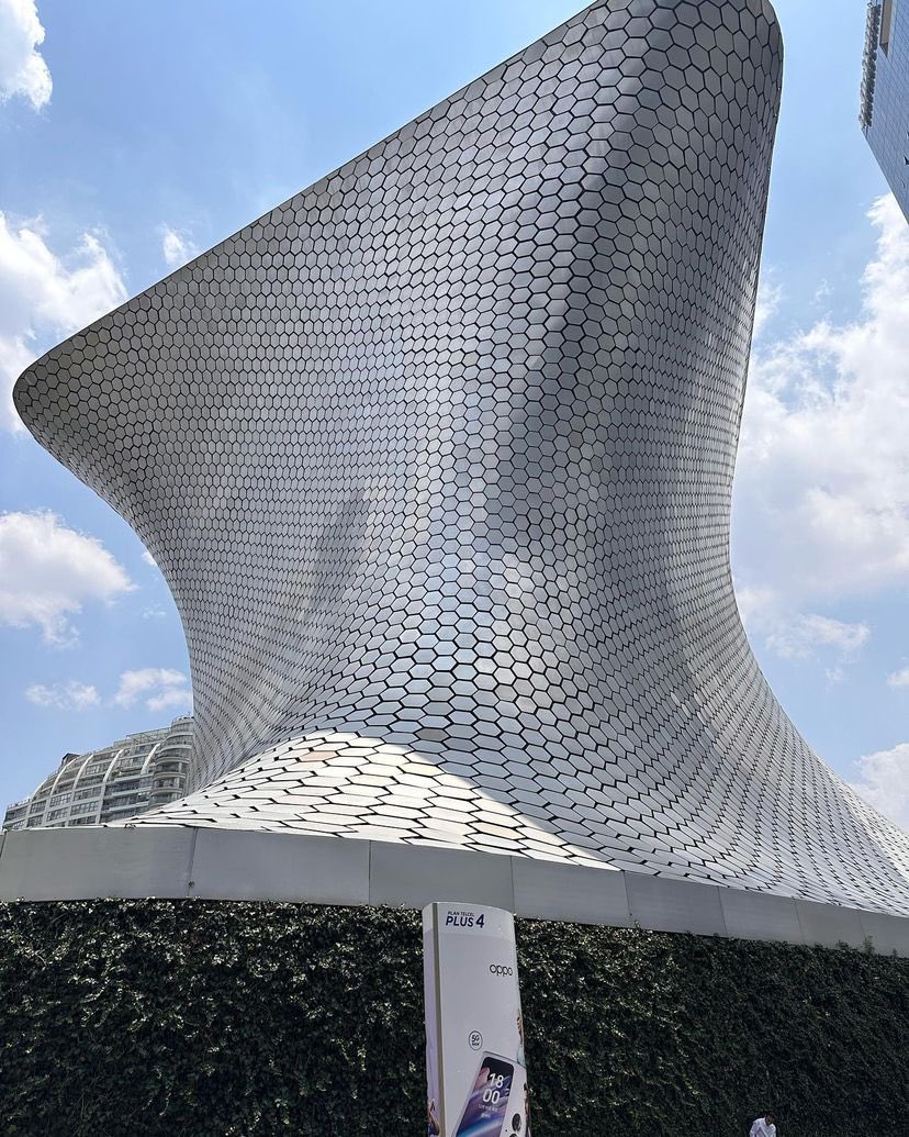 Torobolino tweet media