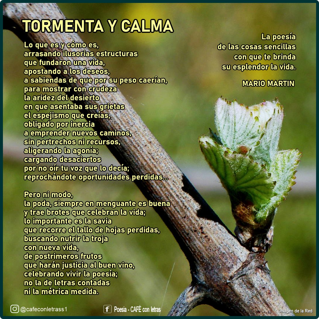 CafeConLetrasS1's tweet photo. TORMENTA Y CALMA https://t.co/mFFgmEoshM