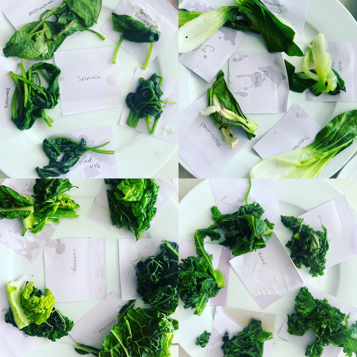 Miss Smith tweet media