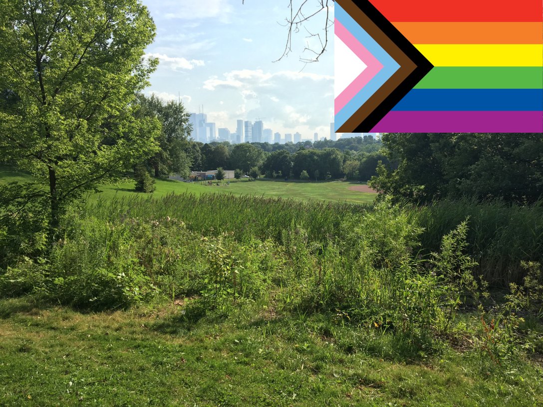Join the City of Toronto at a special Pride Planting event!

WHEN: Saturday 10 am to 12 pm
WHERE: Riverdale Park East, Broadview and Withrow Avenues

#environmentalstewardship #torontoparks #volunteertoronto #community #restoration #PrideMonth #pridetoronto #pride2023 #Pride
